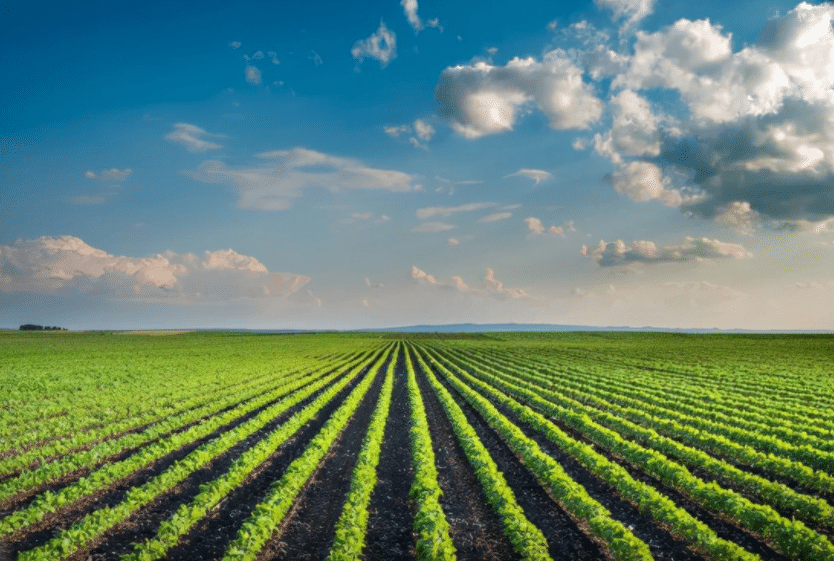 振興鄉(xiāng)村：大力發(fā)展智慧農(nóng)業(yè)，智慧農(nóng)業(yè)迎來春天