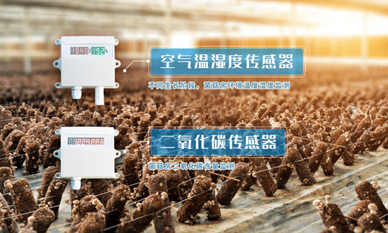 結(jié)合菌菇場景背景圖的架構(gòu)圖 結(jié)合菌菇場景背景圖的架構(gòu)圖