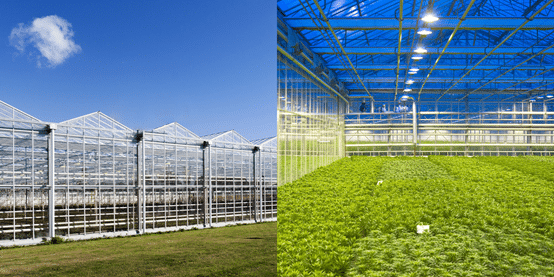 玻璃溫室大棚監控系統