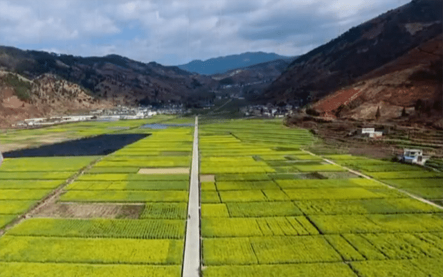 農業氣象站的作用