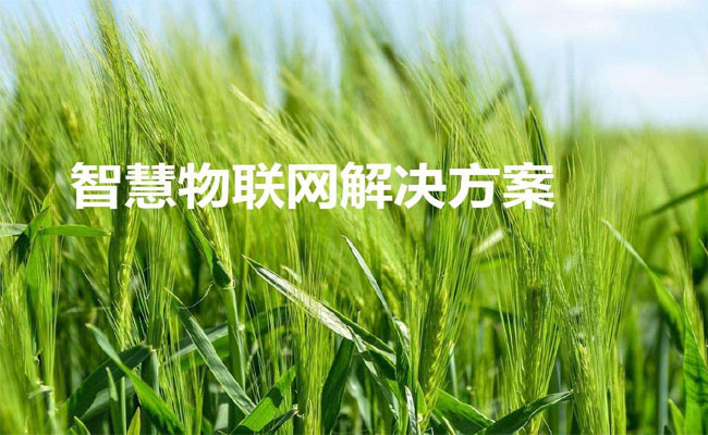 智慧農業物聯網