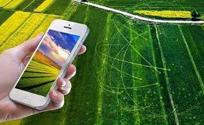 聚英農業物聯網