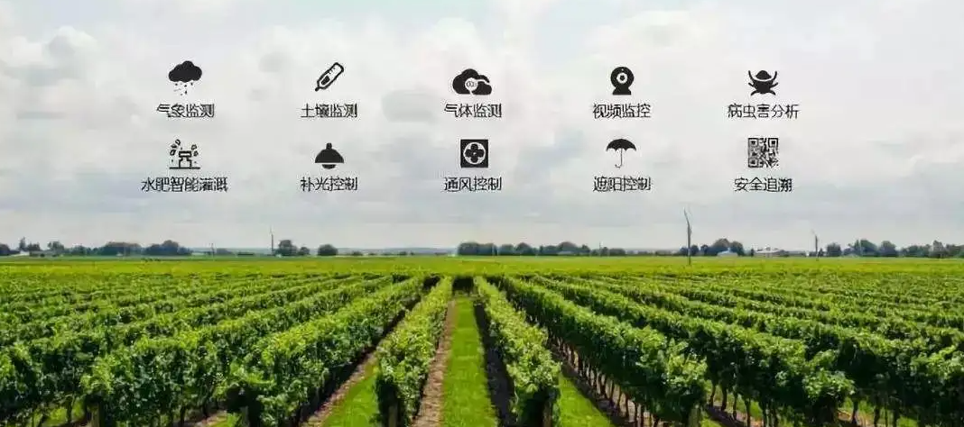 智慧農(nóng)業(yè)如何識別草地貪夜蛾的