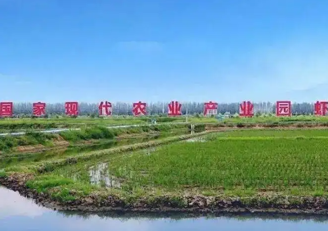 稻栽培標(biāo)準(zhǔn)化示范區(qū)