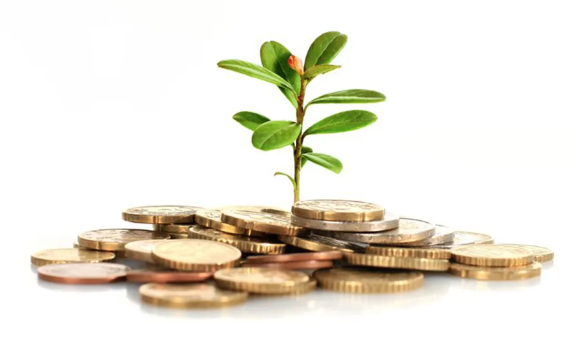 河北省級財(cái)政提前下達(dá)農(nóng)業(yè)轉(zhuǎn)移支付項(xiàng)目資金455115萬元