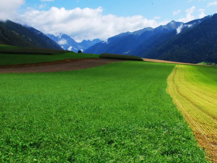 農(nóng)作物生長監(jiān)測