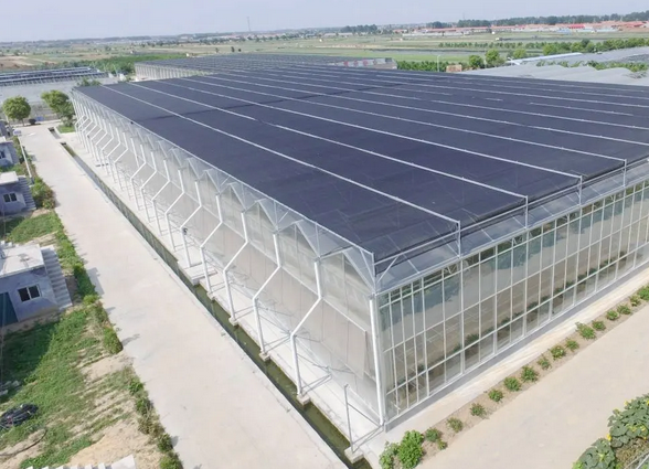 為什么要大力發(fā)展設(shè)施農(nóng)業(yè)