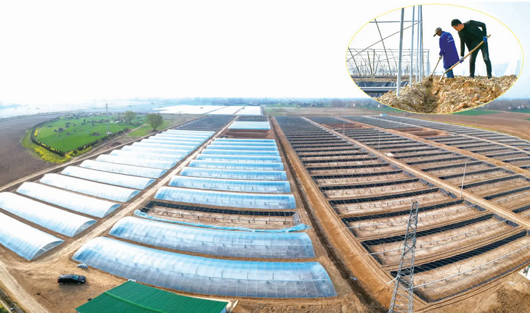 設(shè)施農(nóng)業(yè)大棚