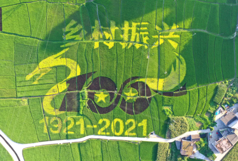 大渡口區破解鄉村振興難題 黨建引領走好“三條路”