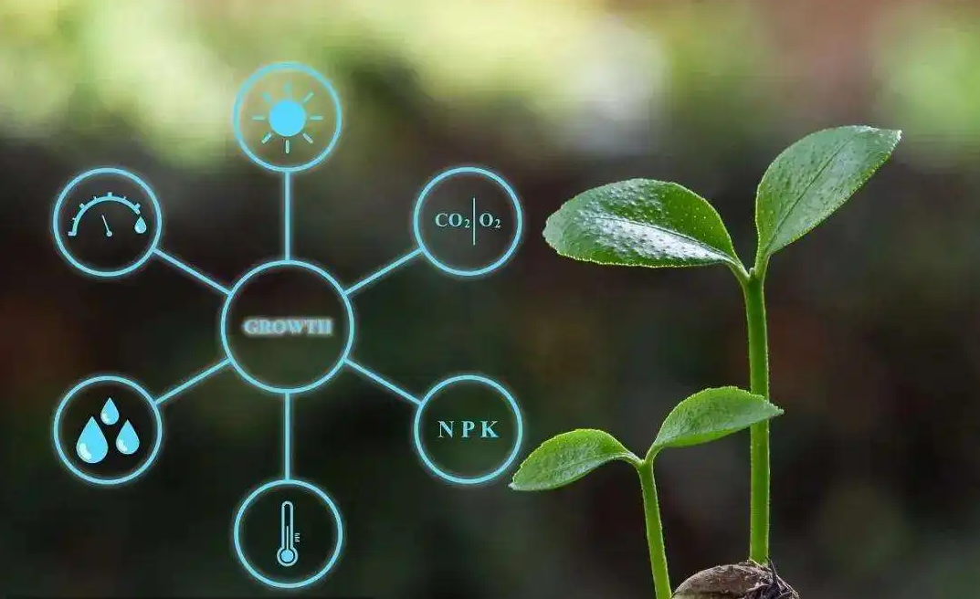 廣西九措施保農業產業鏈供應鏈穩定