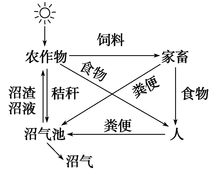 生態(tài)農(nóng)業(yè)運(yùn)行圖