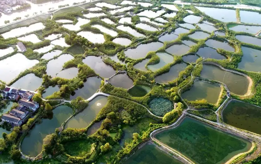 河北首次承擔(dān)國(guó)家漁業(yè)綠色循環(huán)發(fā)展試點(diǎn)項(xiàng)目