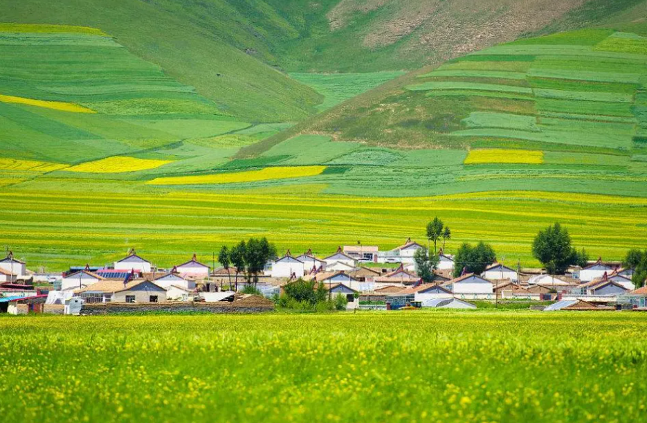 農業農村現代化