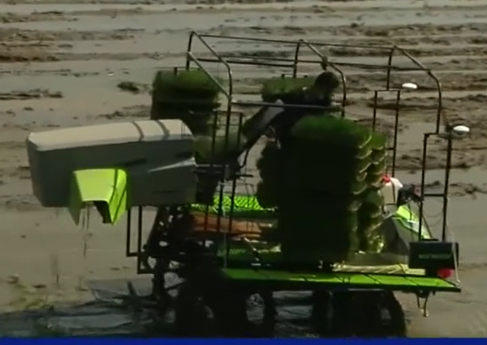 益陽“無人機”插秧顯身手 種田越來越有“科技范”