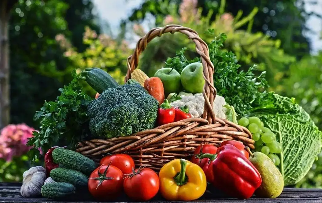 滿了“菜籃子”!聚焦甘肅三農這五年之四