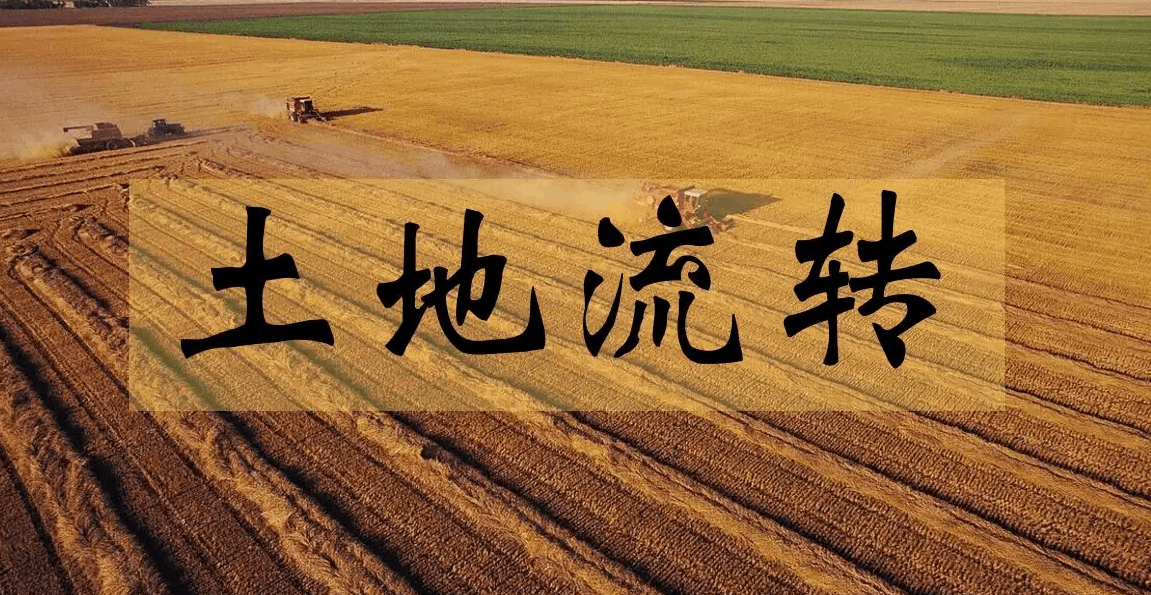 土地流轉(zhuǎn)“轉(zhuǎn)”出鄉(xiāng)村振興新“生機(jī)”