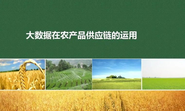 打通農(nóng)產(chǎn)品直達(dá)大灣區(qū)的供應(yīng)鏈