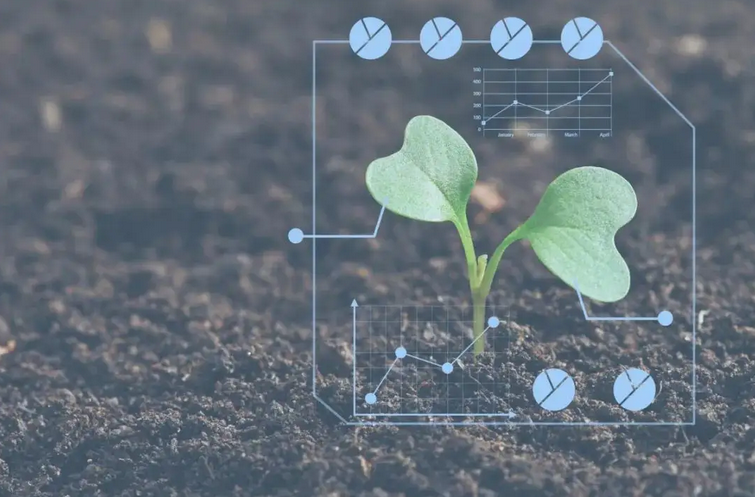 智慧農(nóng)業(yè)研究進(jìn)展:智能識(shí)別農(nóng)業(yè)環(huán)境小目標(biāo)