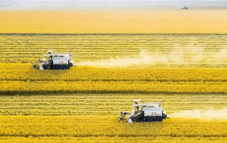 聚焦農機安全使用，全力保障“三夏”生產