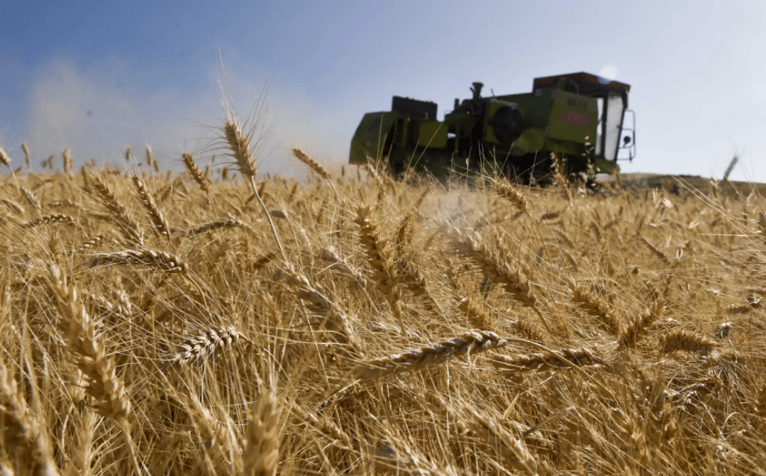 山西做好農(nóng)機(jī)跨區(qū)作業(yè) 確保夏糧顆粒歸倉(cāng)