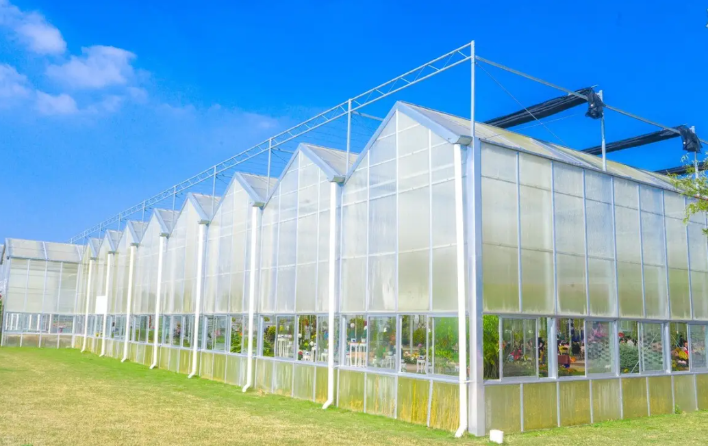 天津設施農業成交規模達1.77億