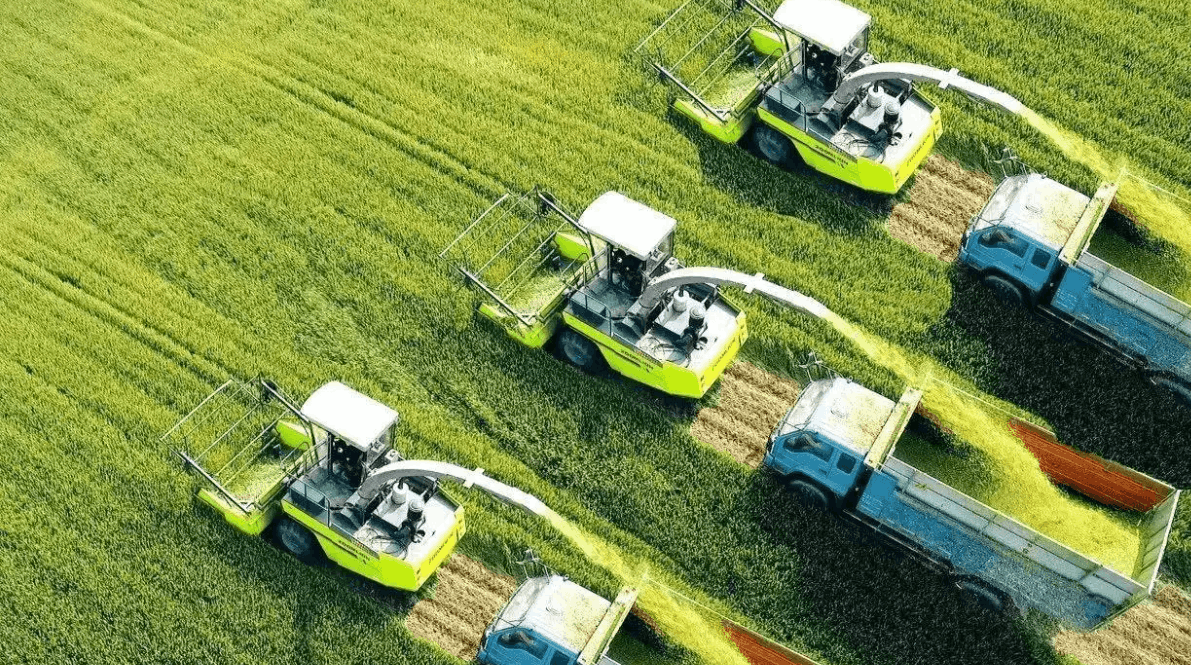 “新農人”田間顯身手