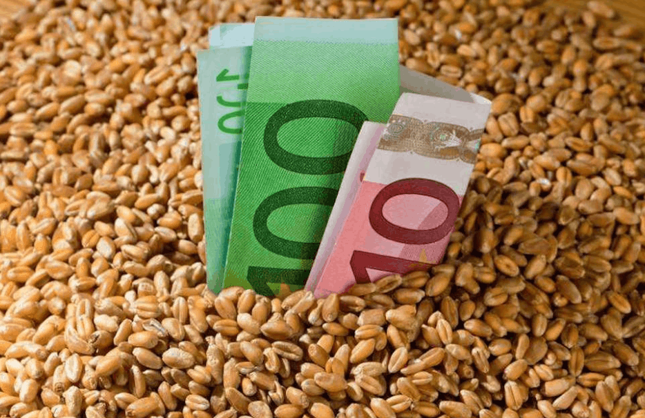 一站式金融助農，南寧鄉村振興走出“新路子”!