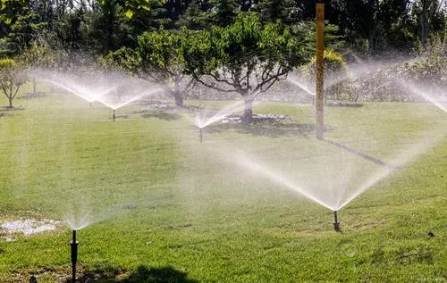 微信圖片_20210728090905