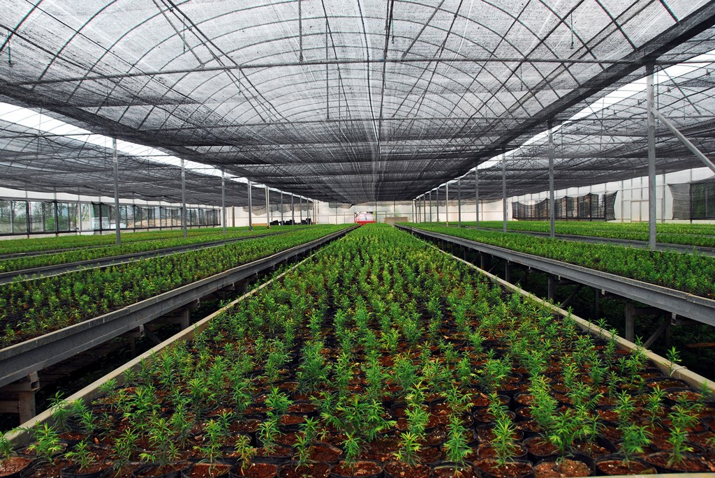 智慧農業整合生物技術、信息技術、智能裝備三大生產力要素。