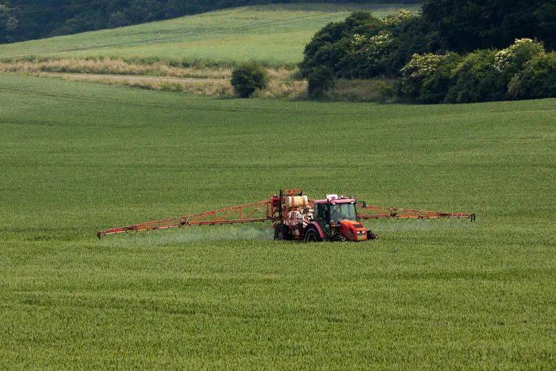 智慧農業穩住糧食“壓艙石”