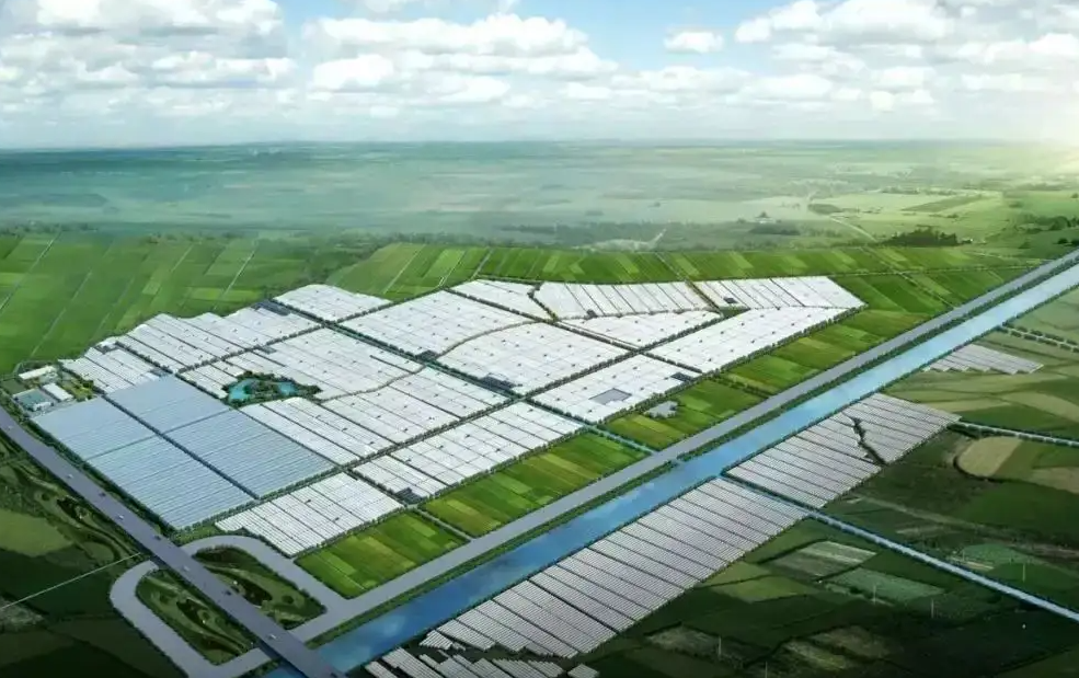 甘肅科研團(tuán)隊(duì)推廣納米高效農(nóng)業(yè)：增產(chǎn)效果普遍達(dá)二成以上