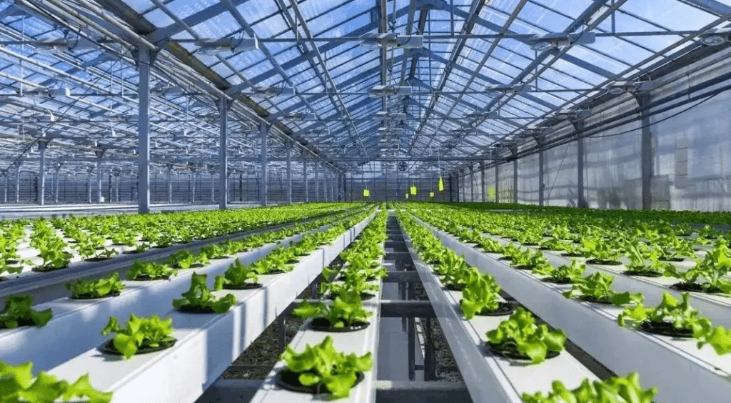 智能溫室大棚的技術(shù)優(yōu)勢(shì)