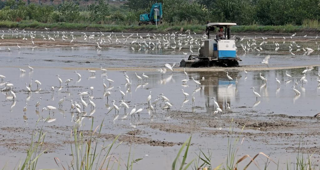 農(nóng)業(yè)耕作機(jī)械
