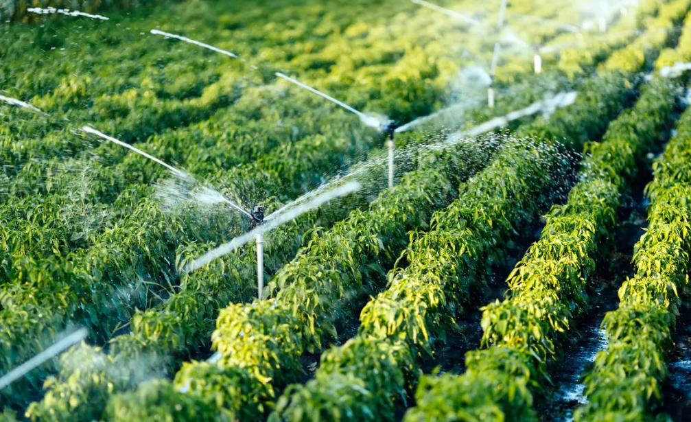 高效節水灌溉