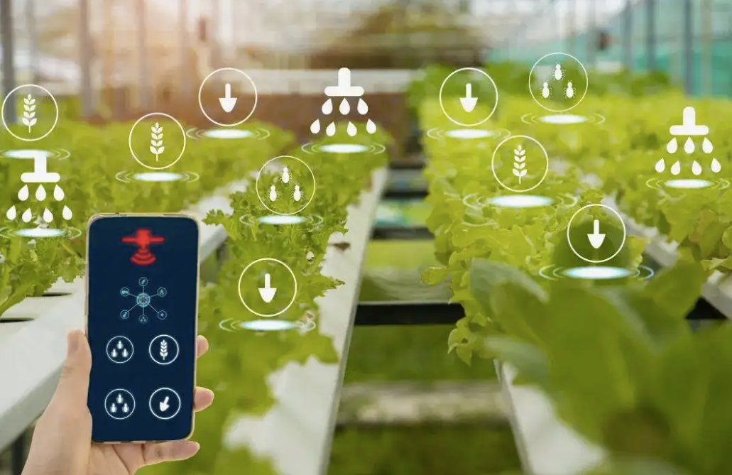 智慧大棚省時省力