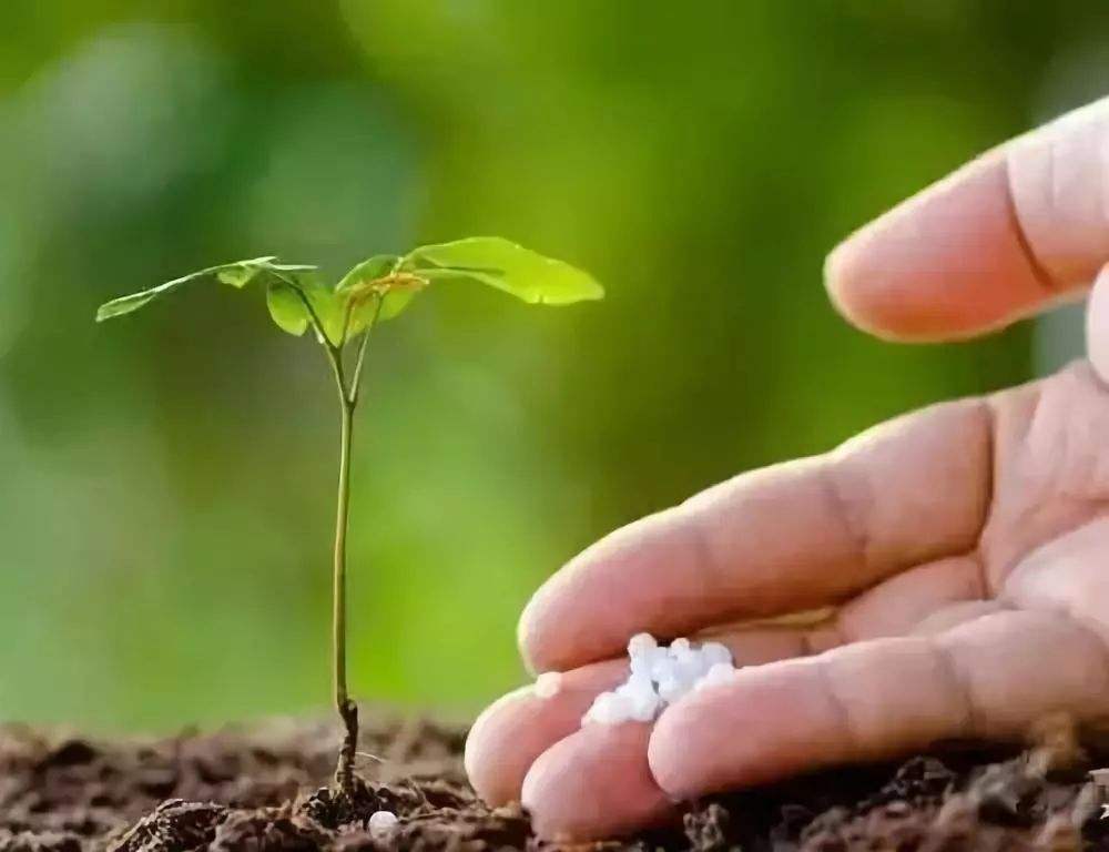 農業種植用肥的三大誤區