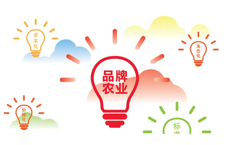 農(nóng)產(chǎn)品品牌建立