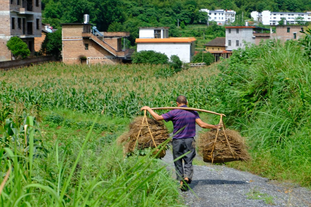 播種“智慧農業”，綻放青春之花
