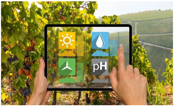 發(fā)展智慧農(nóng)業(yè)，助力綠色發(fā)展，推進(jìn)農(nóng)產(chǎn)品打造和市場(chǎng)營(yíng)銷