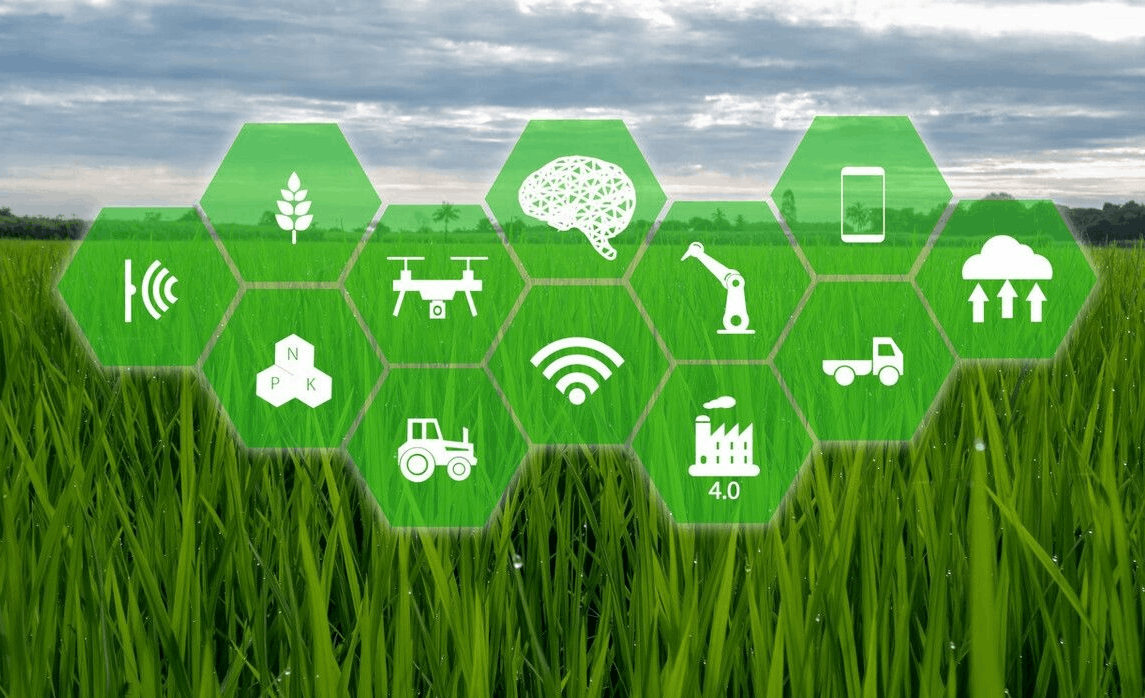 在農(nóng)業(yè)發(fā)展的新的階段，需要為農(nóng)業(yè)轉(zhuǎn)型提供進(jìn)一步的制度供給