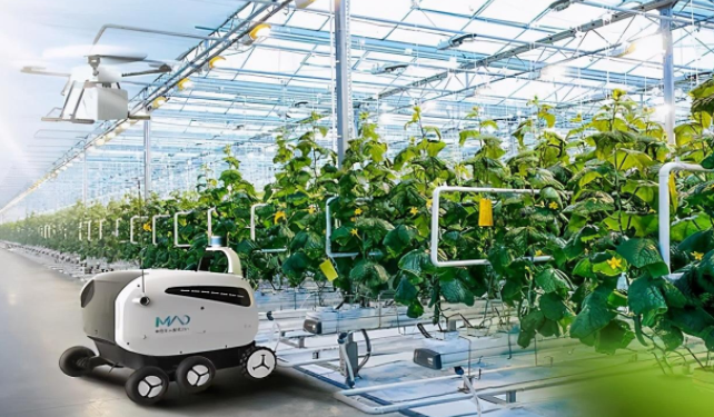 需要不斷提高社會各方面的技術標準來規范和促進物聯網產品的規?；藴驶a和應用