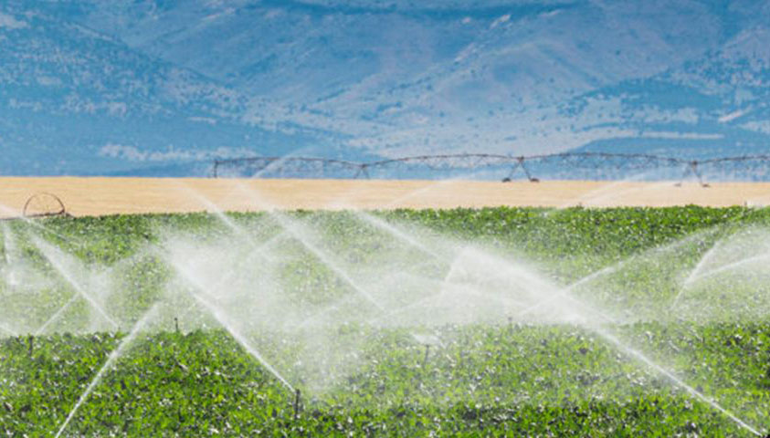 靖州建成高標(biāo)準(zhǔn)農(nóng)田25萬(wàn)余畝，農(nóng)業(yè)綜合機(jī)械化水平達(dá)74%