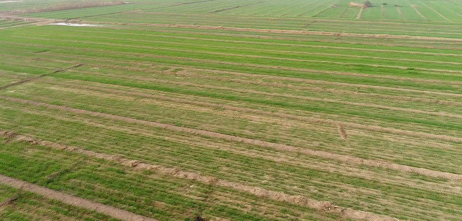 精準用水打開現代農業大門