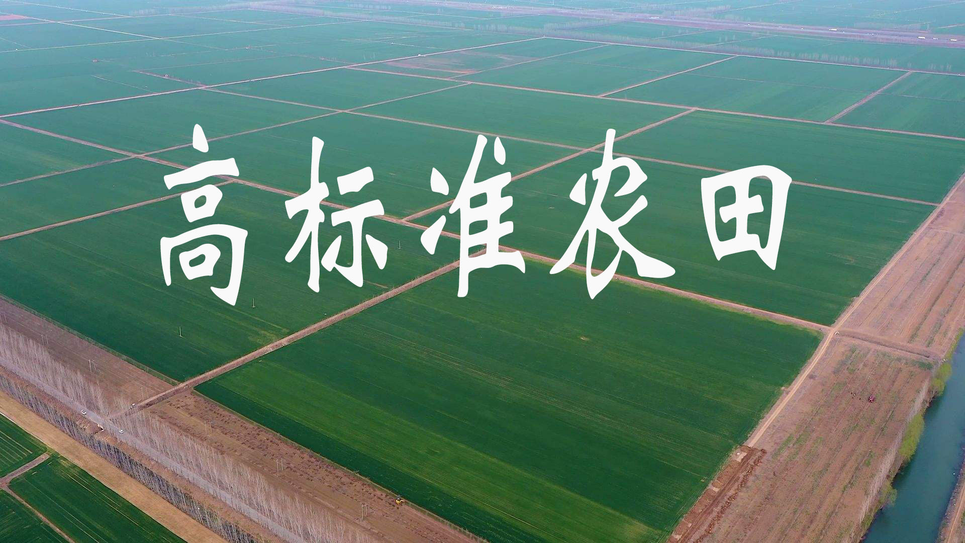 黑龍江大力推進(jìn)高標(biāo)準(zhǔn)農(nóng)田建設(shè)