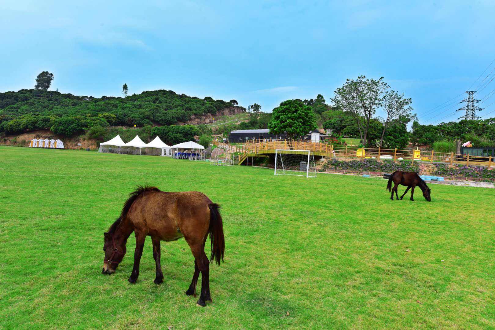 順義后沙峪鎮(zhèn)撂荒大棚變休閑農(nóng)場(chǎng)