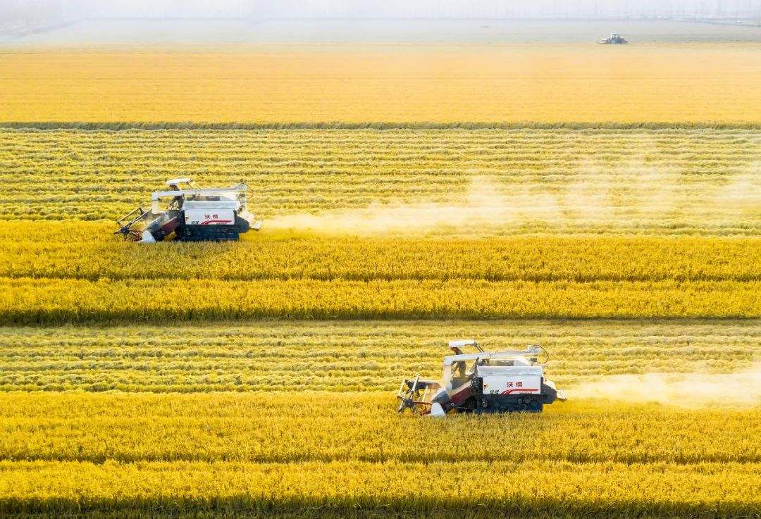 江蘇舉辦農(nóng)機(jī)化管理統(tǒng)計(jì)和水平評價(jià)業(yè)務(wù)培訓(xùn)班