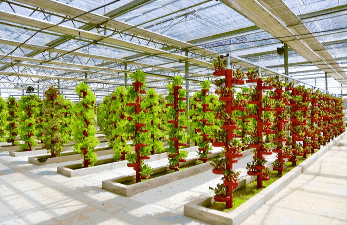 智能溫室大棚應用在蔬菜種植育苗