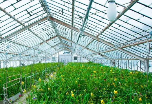 越來越多的新科技正在改變傳統農業的面貌