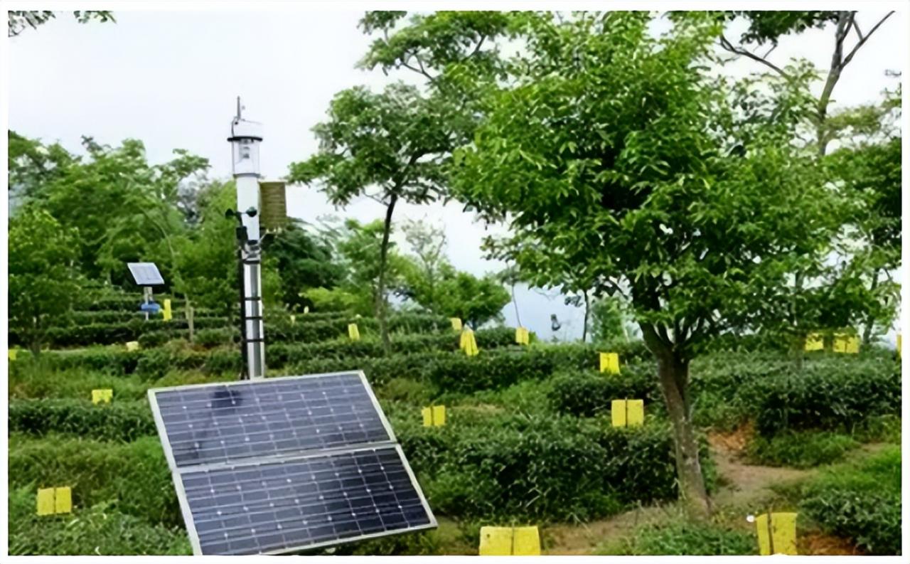 數(shù)字農(nóng)業(yè)的特點(diǎn)是農(nóng)業(yè)生產(chǎn)高度專業(yè)化、規(guī)模化、企業(yè)化