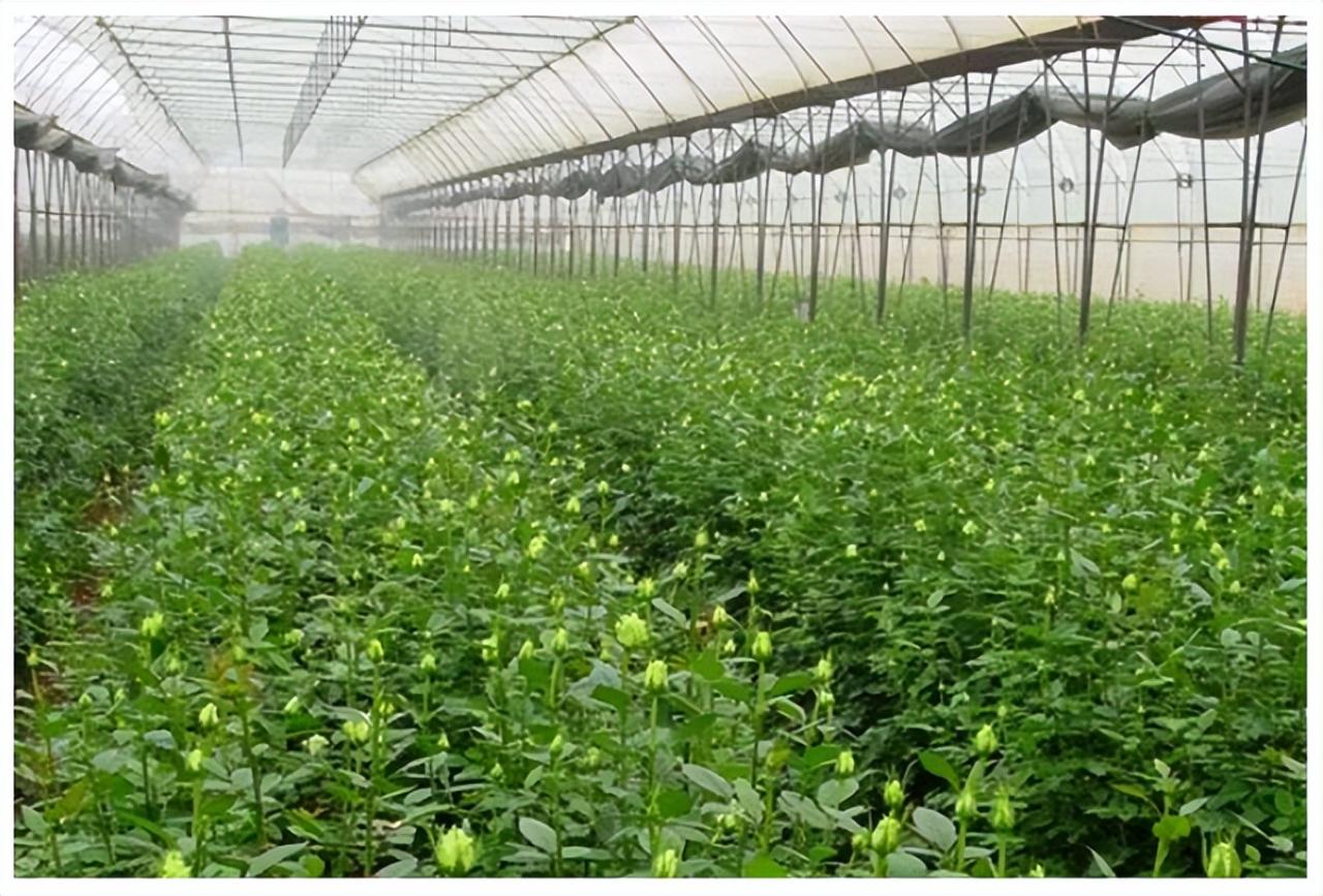 農業(yè)生產全流程智能化將逐步成為現(xiàn)實